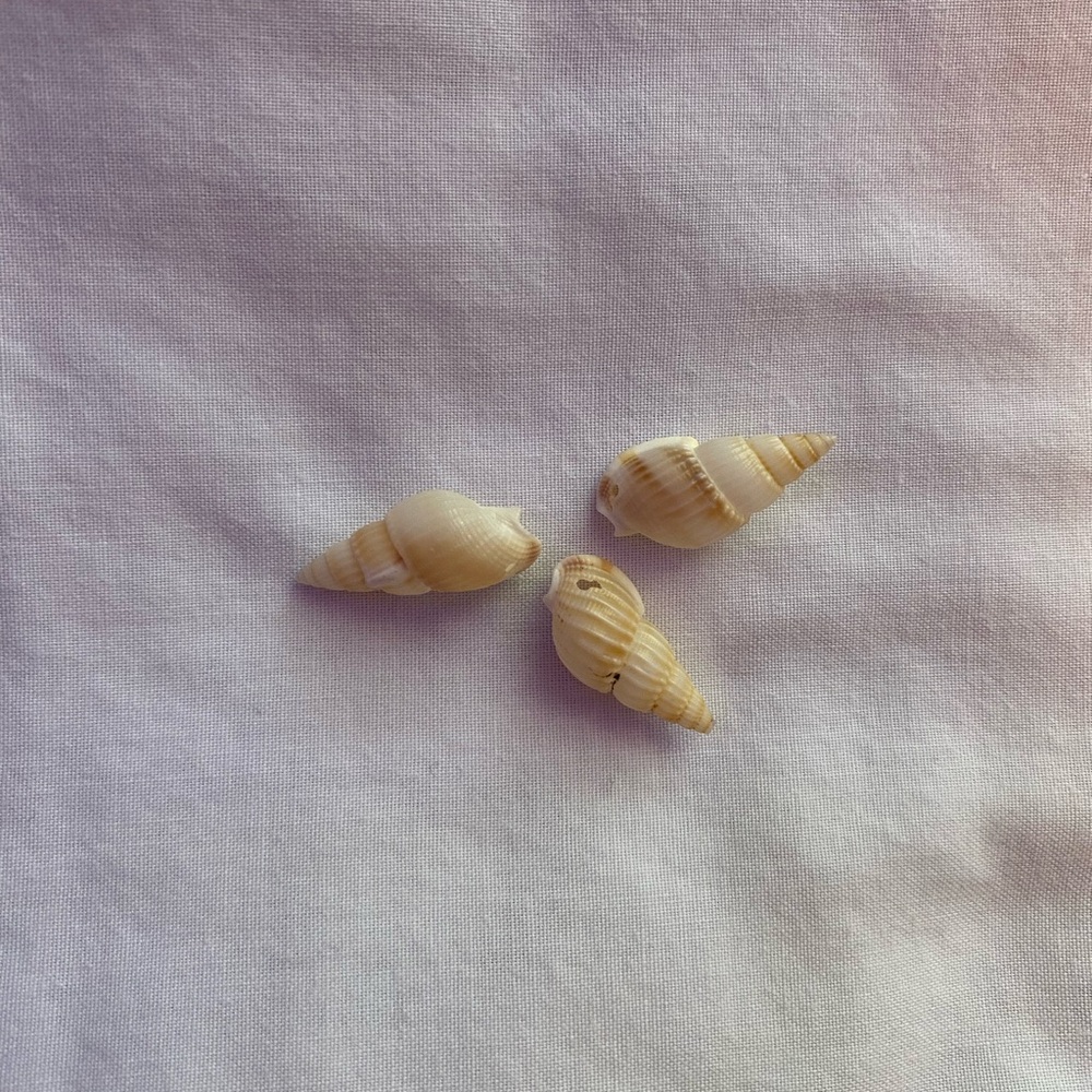 White Shell Beads - Picture 3 of 4